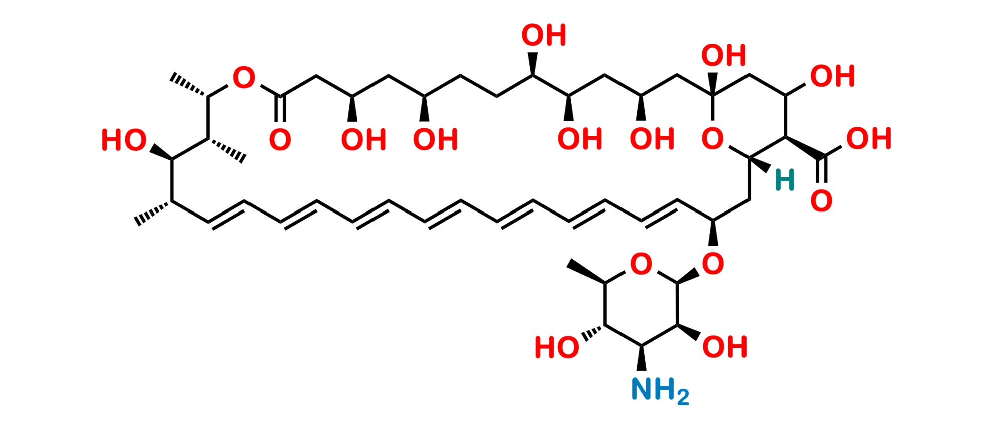 Picture of Amphotericin B