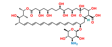 Picture of Amphotericin B