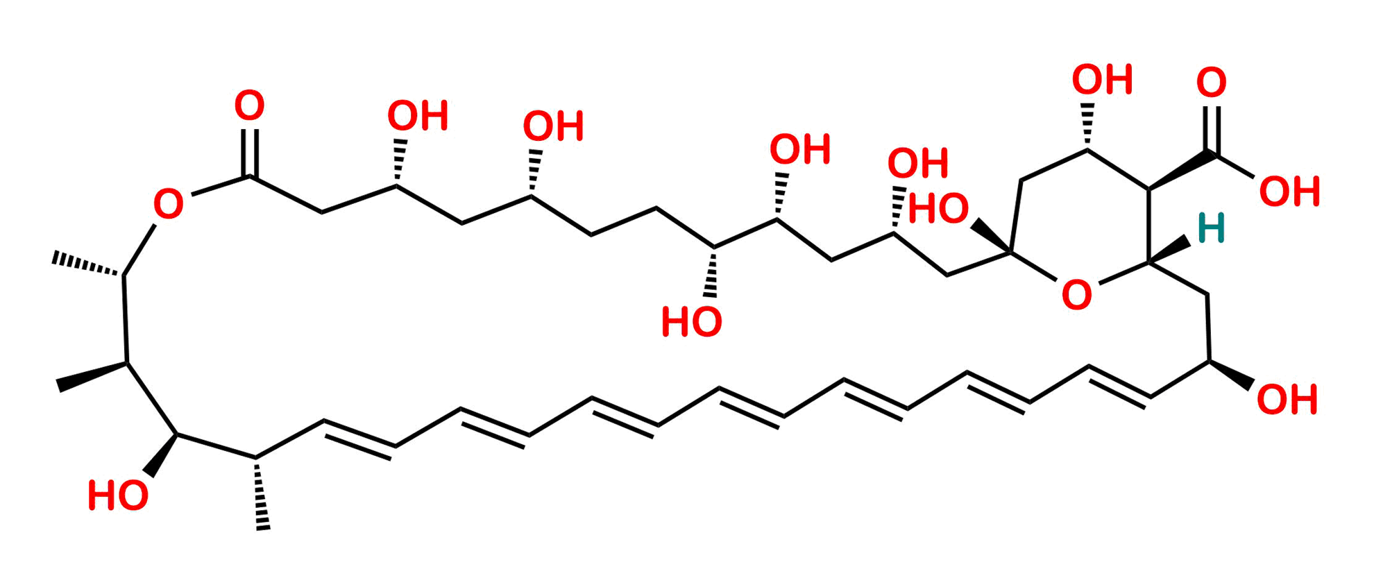 Picture of Amphoteronolide B