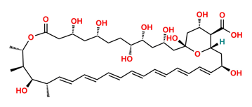 Picture of Amphoteronolide B