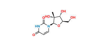 Picture of 2'-C-methyluridine