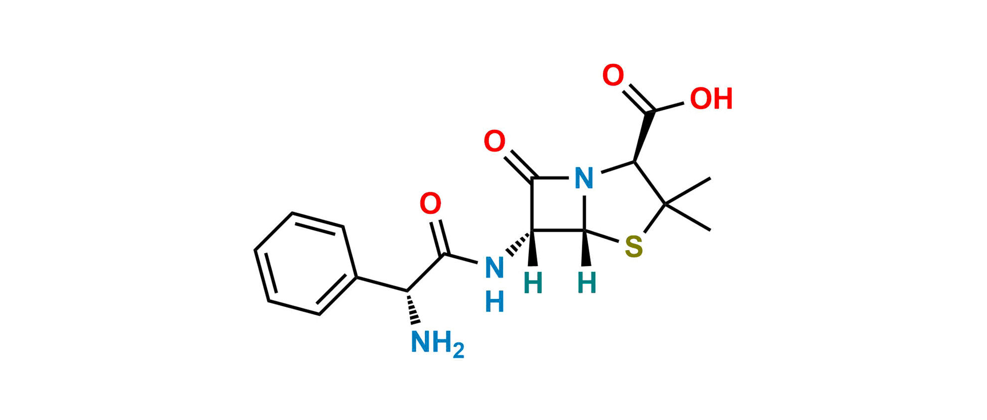 Picture of Ampicillin