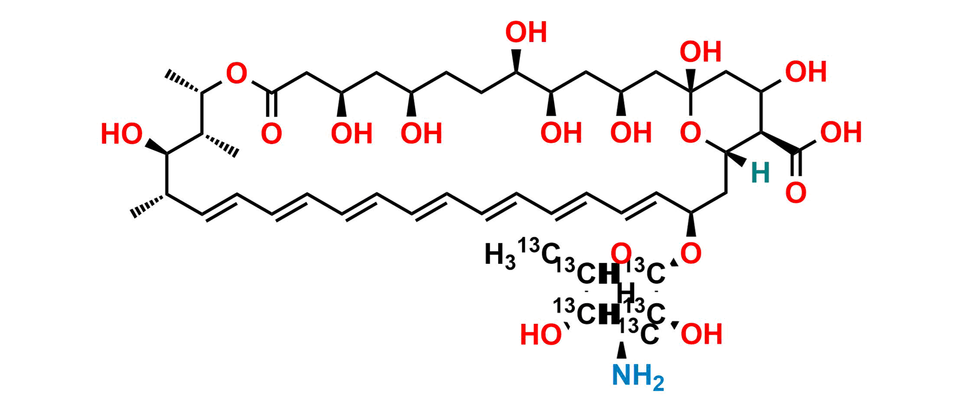 Picture of Amphotericin B-13C6