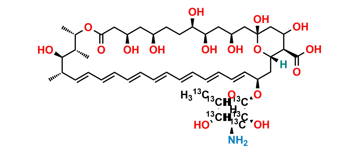 Picture of Amphotericin B-13C6