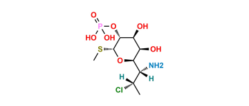 Picture of Clindamycin Impurity 24