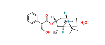 Picture of Ipratropium Bromide Hydrate