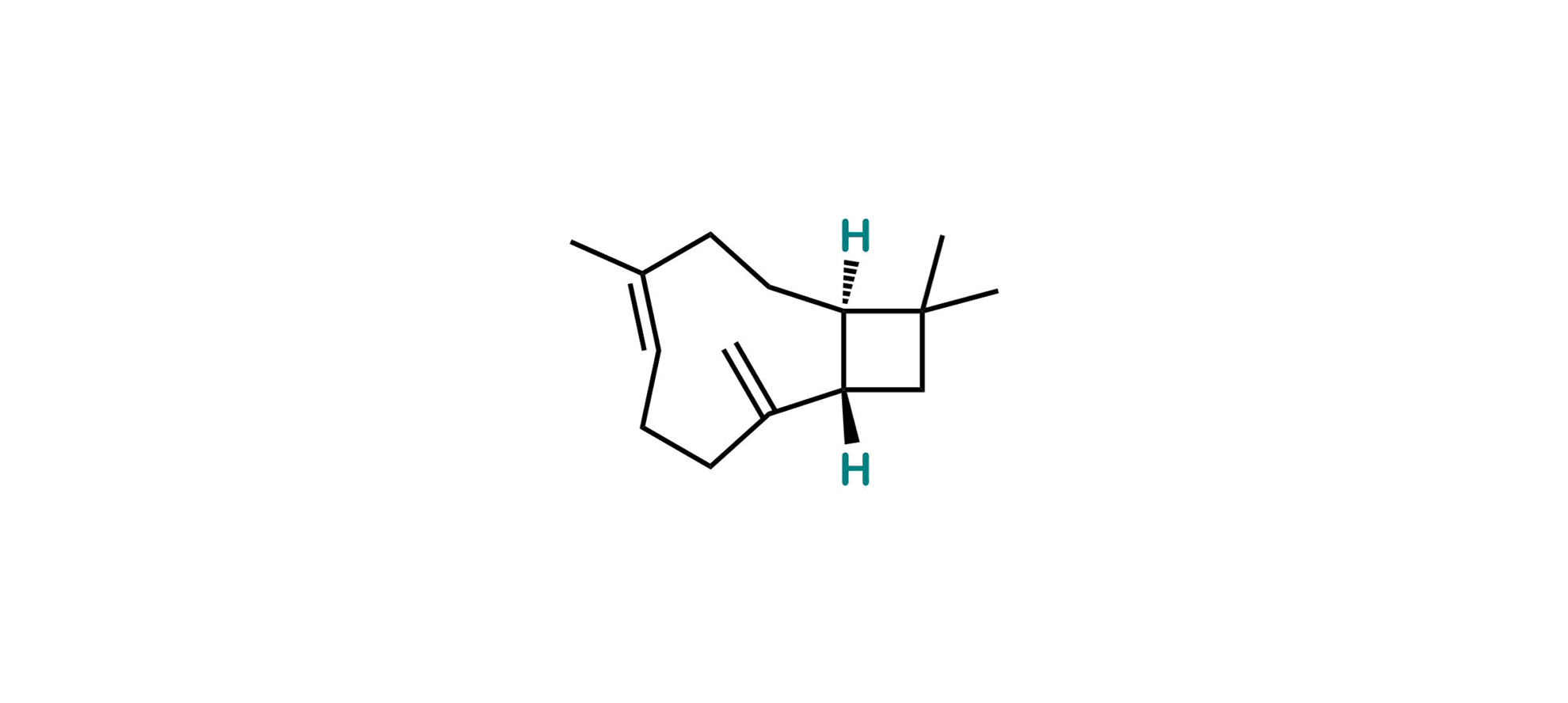 Picture of β-caryophyllene